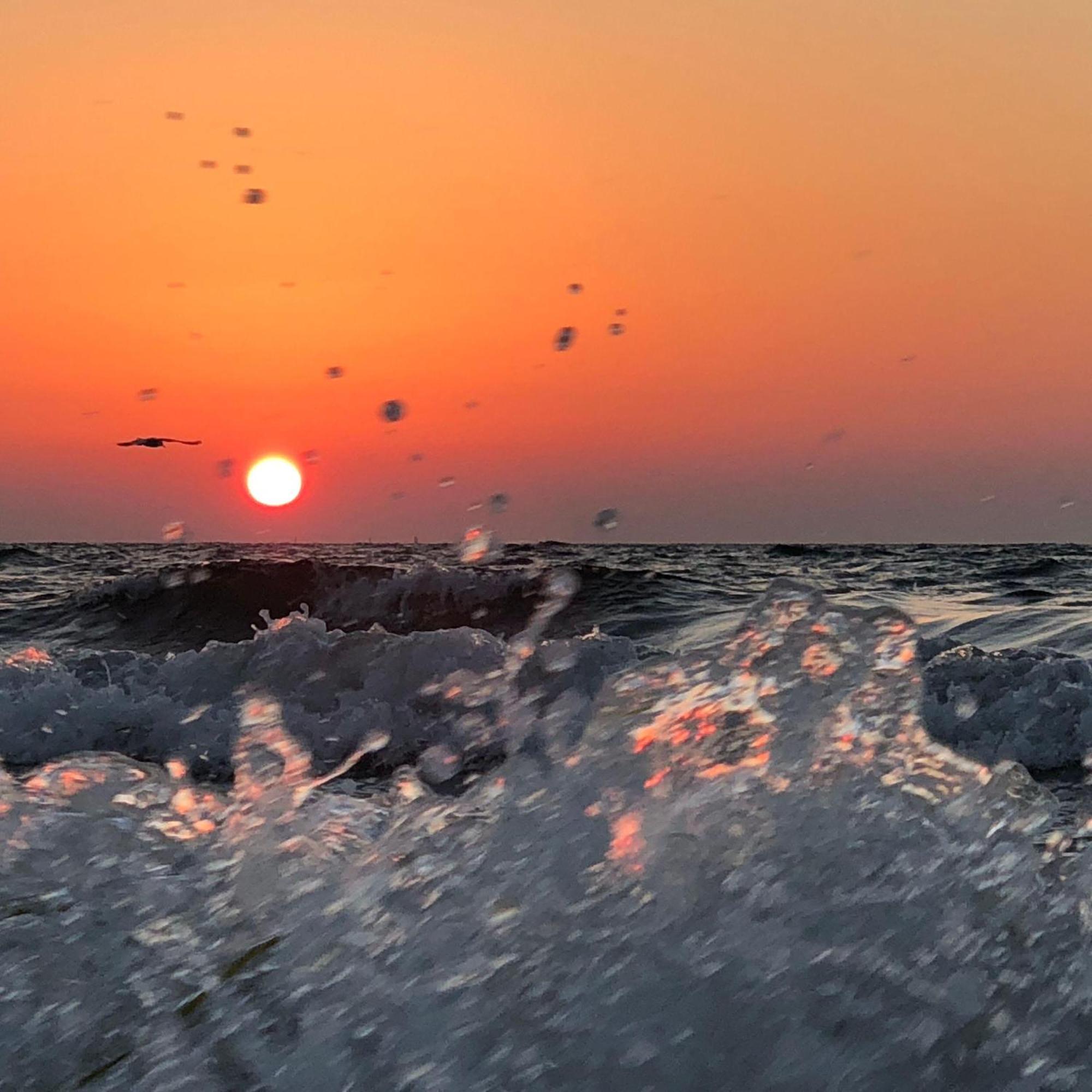 Suedstrand-Ferienwohnung-Suhr Burgtiefe auf Fehmarn Εξωτερικό φωτογραφία